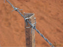 Waratah Fence Droppers