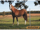 Waratah Stocksafe Farm Fence For Horses