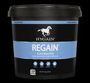 Hygain Regain