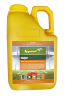 Apparent Major 5L