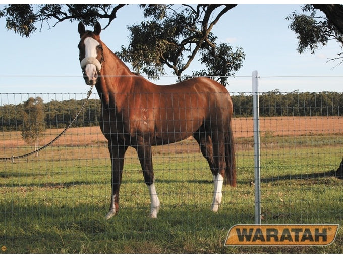 OS Waratah Stocksafe Farm Fence For Horse - 13/122.5/5 x 50m