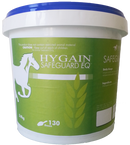 Hygain Safeguard EQ