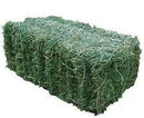 Lucerne Small Square Hay