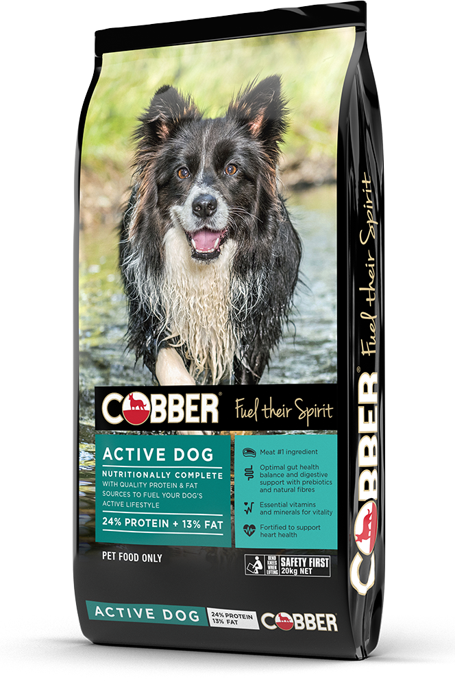 Cobber Active Dog - 20kg