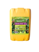 Apparent - Woody Extra