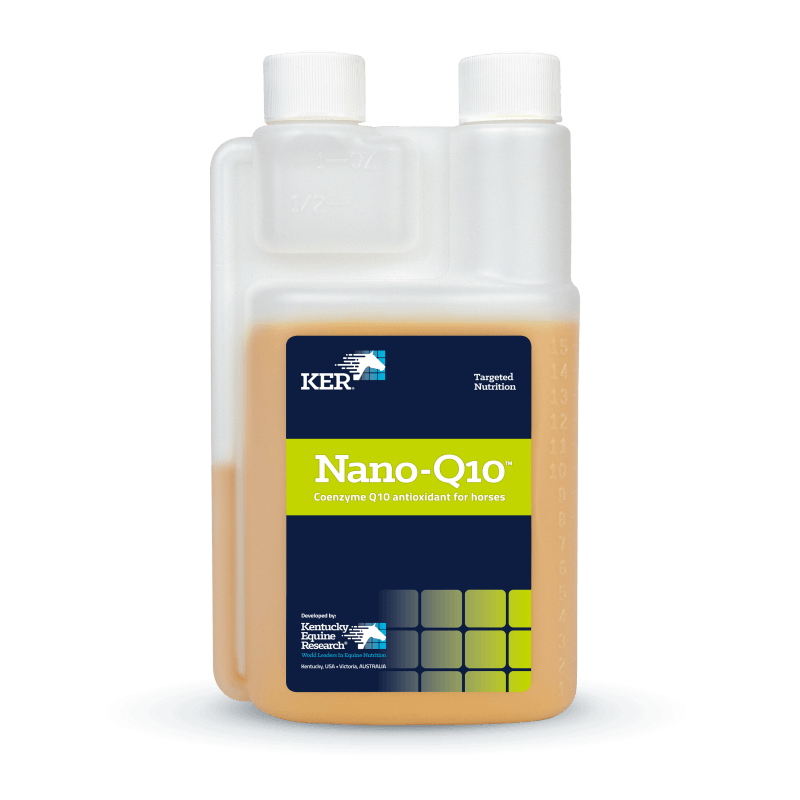 KER Nano Q10