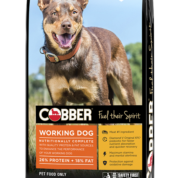 Cobber sales complete puppy