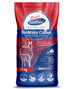 Prydes Bio Mare Cubes - 20kg