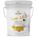 Stock & Noble Master Blend Forever White Paint